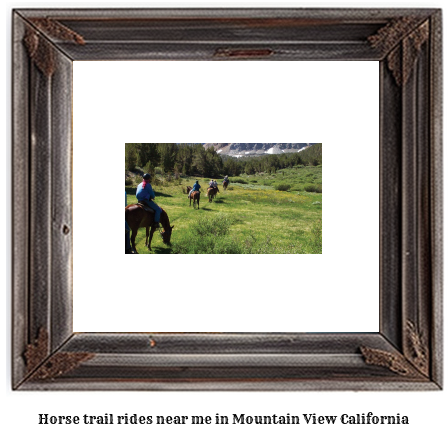 horse trail rides near me in Mountain View, California